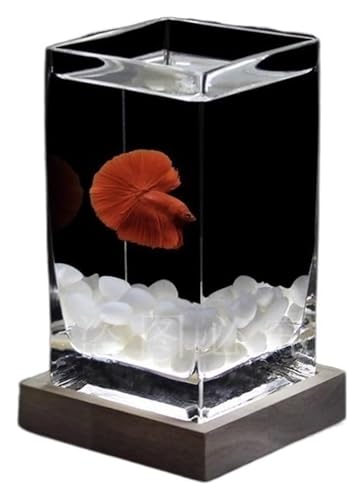 DMBBSAPBSH Goldfischglas, Fischschale, Kleine Fischschale aus verdicktem Glas for den Schreibtisch mit Holzsockel(White) von DMBBSAPBSH