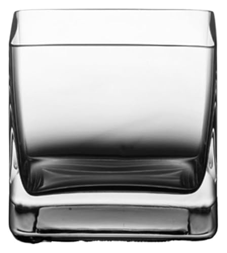 DMBBSAPBSH Goldfischglas, Fischschale, Kleines quadratisches Aquarium aus Glas, Dickes transparentes Glas for den Schreibtisch, Schildkrötenbecken(20x20cm) von DMBBSAPBSH