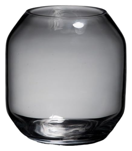 DMBBSAPBSH Goldfischglas, Fischschale, Transparentes Glas Aquarium Kleine Fischzucht Tank Desktop Wohnzimmer Dekorative Aquarium von DMBBSAPBSH