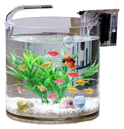 DMBBSAPBSH Goldfischglas, Fischschale, Transparentes Glasfischaquarium Wohnzimmer Büro Desktop Zylindrisches Fischaquarium(25x25cm) von DMBBSAPBSH