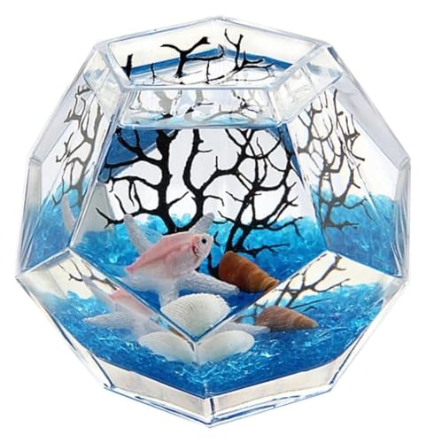 DMBBSAPBSH Goldfischglas, Fischschale, Verdicktes Glas Aquarium Desktop Dekorative Fischschale(Large) von DMBBSAPBSH