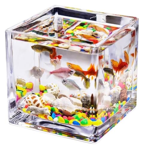 DMBBSAPBSH Goldfischglas, Fischschale, Verdicktes transparentes Aquarium-Tank-Arbeitsplatten-Kleines Heimtank(Medium) von DMBBSAPBSH
