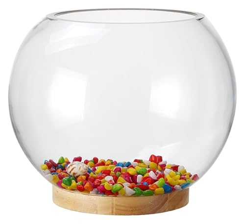 DMBBSAPBSH Goldfischglas, Fischschale, Verdicktes transparentes Glas Aquarium Desktop Runde Goldfisch Aquarium Wohnzimmer Desktop Dekorative Ornamente(35cmx26cm) von DMBBSAPBSH