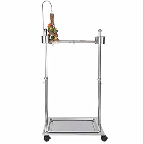 Vogelkäfig, verstellbare Vogelstange, Papageien, Spielplatz, Vogelkäfig, Vogelständer, für kleine Nymphensittiche, Finken für kleine exotische Vögel und Kanarienvögel, Gartendekoration (Größe: 36 x 28 x 32–50 cm) Vogelkäfig, verstellbare Vogelstange, Papageien, Spielplatz, Vogelkäfig, Vogelständer, für kleine Nymphensittiche, Finken für kleine exotische Vögel und Kanarienvögel, Gartendekoration (Größe: 36 x 28 x 32–50 cm) von DMLZB
