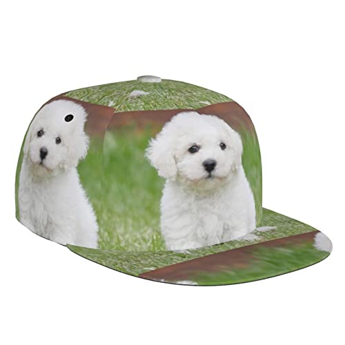 Bichon Frisé Dog Fashion Baseballkappe, flache Krempe, geeignet für den täglichen Gebrauch, Sport, Outdoor, erhältlich in vier Jahreszeiten, Schwarz, Schwarz, Einheitsgröße von DMORJ