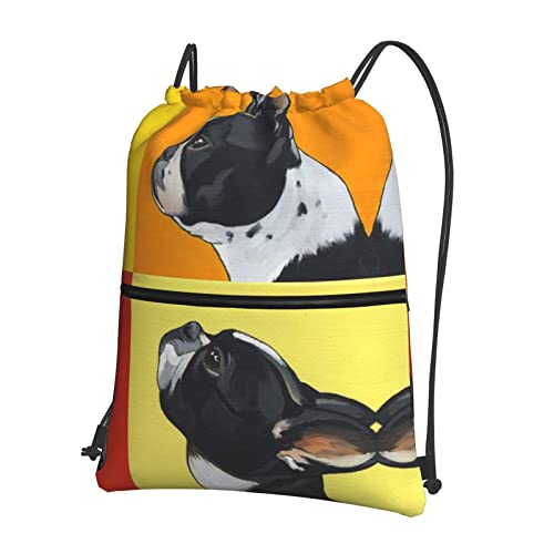 DMORJ Hunde-Rucksack mit Reißverschluss für den Außenbereich, 39 x 46 cm (L x H), gut für Reisen, Handgepäck, Camping, Schwarz, Einheitsgröße von DMORJ