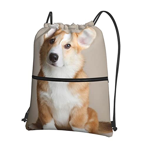 DMORJ Hunde-Rucksack mit Reißverschluss für den Außenbereich, 39 x 46 cm (L x H), gut für Reisen, Handgepäck, Camping, Schwarz, Einheitsgröße von DMORJ