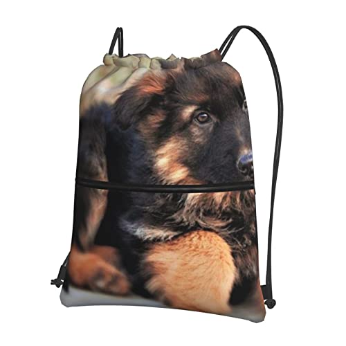 DMORJ Hunde-Rucksack mit Reißverschluss für den Außenbereich, 39 x 46 cm (L x H), gut für Reisen, Handgepäck, Camping, Schwarz, Einheitsgröße von DMORJ