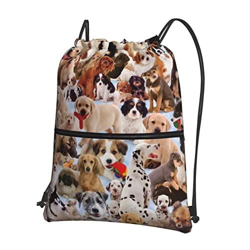 DMORJ Niedlicher Hunde-Rucksack mit Reißverschluss, Kordelzug, 39 x 46 cm (L x H), gut für Reisen, Handgepäck, Camping, Schwarz, Einheitsgröße von DMORJ