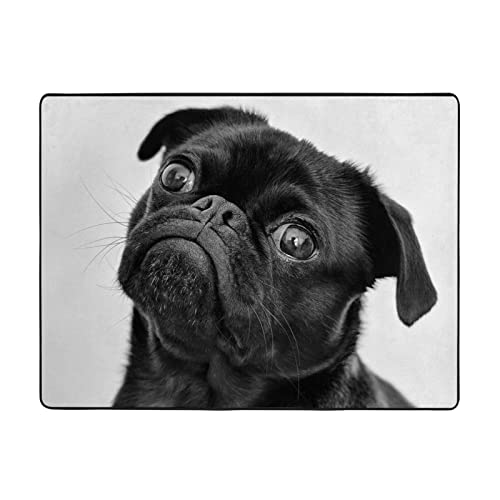 DMORJ Niedlicher schwarzer Mops-Hundeteppich, 160 x 114 cm, fühlt sich weich an, mit feinem Nickerchen, verschleißfest, Büro und Bett. Geeignet für Wohnzimmer von DMORJ
