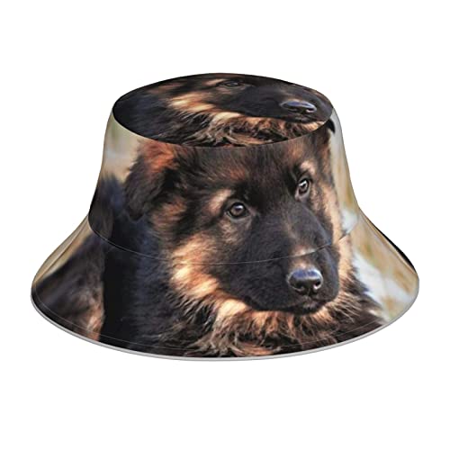 DMORJ Reflektierender Fischerhut für Hunde, Unisex, leicht, atmungsaktiv, faltbar. Hutumfang: 25,2 x Krempe, 2,7 x Huthöhe: 8,3 cm. Schwarz, Schwarz, Einheitsgröße von DMORJ