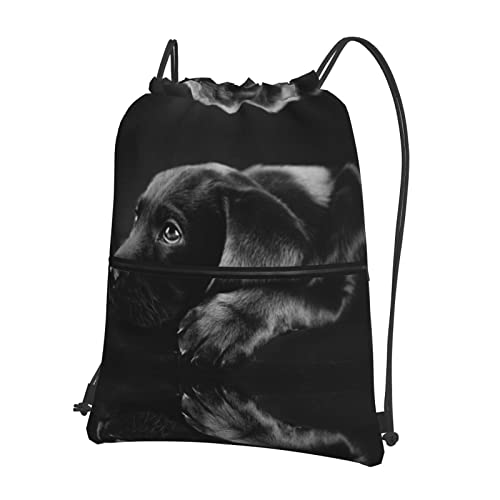 DMORJ Rucksack mit Reißverschluss und Kordelzug: 39 x 46 cm (L x H), ideal für Reisen, Handgepäck, Camping, Schwarz, Einheitsgröße von DMORJ