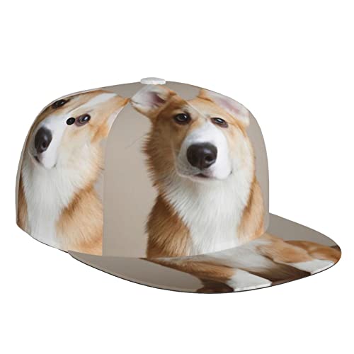 Dog Fashion Baseballkappe mit flacher Krempe =>> geeignet für den täglichen Gebrauch im Freien erhältlich in vier Jahreszeiten von DMORJ