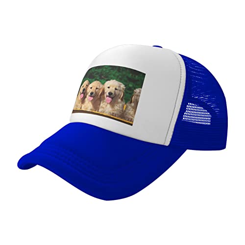 Golden Retriever Hunde Welpen Haustiere Trucker Hüte Blau : Stilvolle Kappe mit langlebiger Silhouette für den täglichen Gebrauch im Freien Sport Outdoor Aktivitäten Reisen von DMORJ