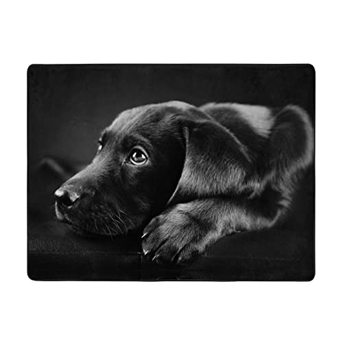 Hunde-Teppich für Welpen, 160 x 114 cm, fühlt sich weich an und sorgt für ein feines Nickerchen, geeignet für Wohnzimmer, Balkon, Schlafzimmer Hunde-Teppich für Welpen, 160 x 114 cm, fühlt sich weich an und sorgt für ein feines Nickerchen, geeignet für Wohnzimmer, Balkon, Schlafzimmer von DMORJ