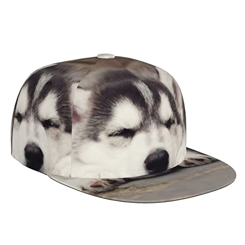 Husky Dog Fashion Flat Brim Baseball Cap =>> Geeignet für den täglichen Gebrauch im Freien erhältlich in vier Jahreszeiten, Schwarz, Einheitsgröße von DMORJ