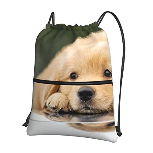 Lazy Dog Puppy Outdoor Freizeitrucksack mit Reißverschluss und Kordelzug, 39 x 46 cm (L x H), gut für Reisen, Handgepäck, Camping, Schwarz, Einheitsgröße von DMORJ