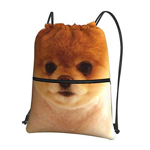 Niedlicher Hunde-Rucksack mit Reißverschluss, Kordelzug, 39 x 46 cm (L x H), gut für Reisen, Handgepäck, Camping, Schwarz, Einheitsgröße von DMORJ