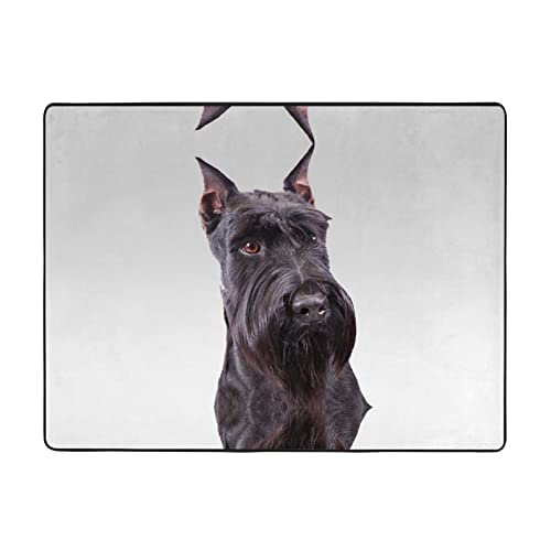 Niedlicher Schnauzer-Hundeteppich: 160 x 114 cm, weich im Griff mit feinem Nickerchen, geeignet für Wohnzimmer, Balkon, Schlafzimmer Niedlicher Schnauzer-Hundeteppich: 160 x 114 cm, weich im Griff mit feinem Nickerchen, geeignet für Wohnzimmer, Balkon, Schlafzimmer von DMORJ