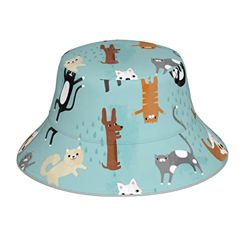 Raining Cats & Dogs Reflektierender Fischerhut Unisex =>> Leicht, atmungsaktiv, faltbar. Hutumfang 64 x Krempe 6,9 x Huthöhe 8,4 cm. Schwarz, Schwarz, Einheitsgröße von DMORJ