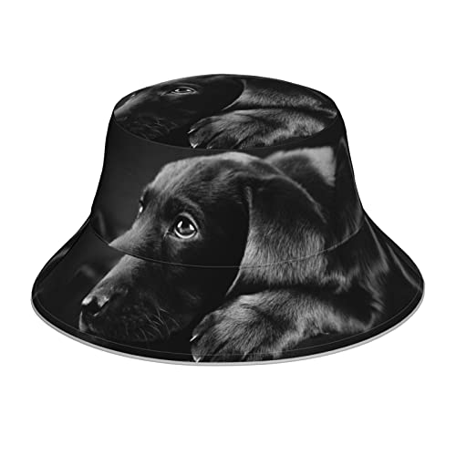 Reflektierender Fischerhut für Welpen und Hunde: leicht, atmungsaktiv, faltbar. Unisex für Camping, Wandern und andere Outdoor-Aktivitäten. Vier Jahreszeiten, Schwarz, Schwarz, Einheitsgröße Reflektierender Fischerhut für Welpen und Hunde: leicht, atmungsaktiv, faltbar. Unisex für Camping, Wandern und andere Outdoor-Aktivitäten. Vier Jahreszeiten, Schwarz, Schwarz, Einheitsgröße von DMORJ