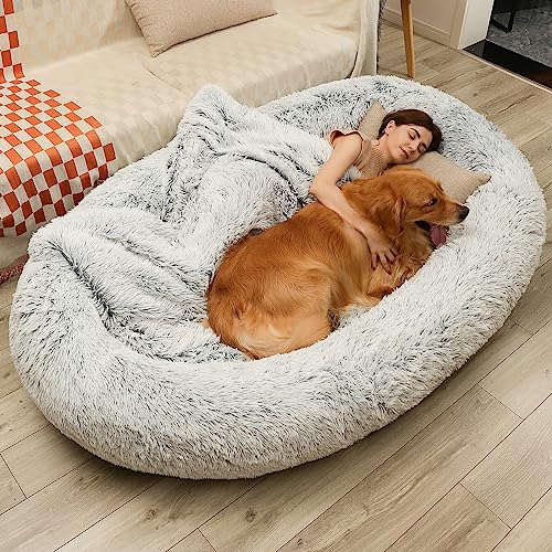 DMTINTA Menschliches Hundebett, riesig, 180,3 x 114,3 x 35,6 cm, Sitzsack-Bett für große Hunde, 3D-Schwamm, Farbverlauf, Grau DMTINTA Menschliches Hundebett, riesig, 180,3 x 114,3 x 35,6 cm, Sitzsack-Bett für große Hunde, 3D-Schwamm, Farbverlauf, Grau von DMTINTA