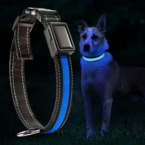 DN DENNOV LED Solar Leuchthalsband Hunde Halsband Leuchtend Hundehalsband USB Wiederaufladbar, Wasserdicht Leuchthalsband für Klein Mittleren Großen und Langhaarigen Hund (M, Blue) von DN DENNOV