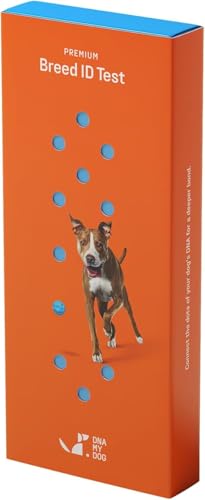 DNA My Dog Premium Rassenidentifizierungstest | 99% Genauigkeit | DNA-Analyse von über 360 Hunderassen | Genetischer Alterstest für Hunde | Schnellste Ausführung in weniger als 3 Wochen | von DNA My Dog