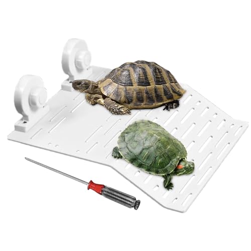 Basketball-Plattformen für Schildkröten, Plattformen mit Rampe für Schildkröten – Terrasse zum Ausruhen der Aquariumleiter für Reptilien – Plattformen für Aquarien, Reptilienterrasse, Basketball-Plattformen für Schildkröten, Plattformen mit Rampe für Schildkröten – Terrasse zum Ausruhen der Aquariumleiter für Reptilien – Plattformen für Aquarien, Reptilienterrasse, von DNCG
