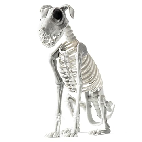 Halloween Skeleton Dog, Scary Sitting Dog Skeleton Statue, Spooky Skeleton Animal, Dog Skeleton Indoor Decoration, Spooky Skeleton Animals Decor for Home, Gathering, Haunted House Halloween Skeleton Dog, Scary Sitting Dog Skeleton Statue, Spooky Skeleton Animal, Dog Skeleton Indoor Decoration, Spooky Skeleton Animals Decor for Home, Gathering, Haunted House von DNCG