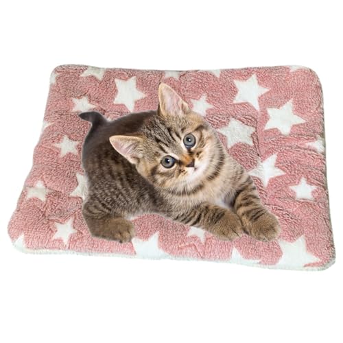 Katzendecken für Katzen im Innenbereich - Kätzchendecken für Indoor-Kätzchen, Hundekissen für Welpen, Decken für Hunde und Katzen, Katzenbett für Nervosität Katzendecken für Katzen im Innenbereich - Kätzchendecken für Indoor-Kätzchen, Hundekissen für Welpen, Decken für Hunde und Katzen, Katzenbett für Nervosität von DNCG