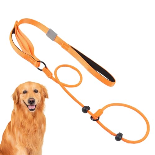 Leine für Welpen, 1,7 m, Haustier-Trainingsleine, Hundeleine, strapazierfähige Leine, weich gepolsterter Griff, Hundeleine für große, mittelgroße Hunde von DNCG