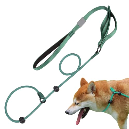 Leine für Welpen, 1,7 m, Haustier-Trainingsleine, Hundeleine, strapazierfähige Leine, weich gepolsterter Griff, Hundeleine für große, mittelgroße Hunde von DNCG