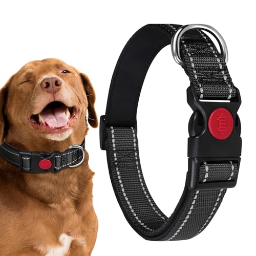 Reflektierendes Katzenhalsband Reflektierendes Halsband für Haustiere | Verstellbare sichere Halsbänder | Katzenhalsband Anhänger, Haustierhalsband für kleine mittelgroße und Reflektierendes Katzenhalsband Reflektierendes Halsband für Haustiere | Verstellbare sichere Halsbänder | Katzenhalsband Anhänger, Haustierhalsband für kleine mittelgroße und von DNCG