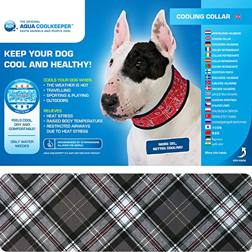 Aqua Coolkeeper Halsband Scottish Grey L von DOG Copenhagen