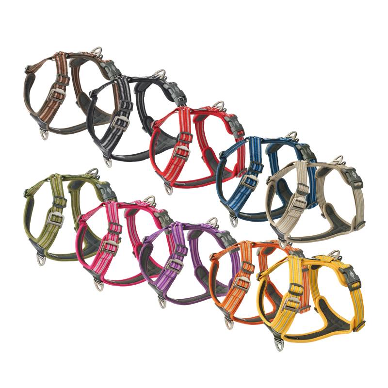 DOG Copenhagen Comfort Walk Air™ Geschirr - Lemon - L von DOG Copenhagen