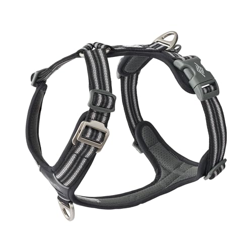 DOG Copenhagen Comfort Walk Air 3.0 Hundegeschirr - Geschirr für Hunde - Welpengeschirr, Black, XS von DOG Copenhagen