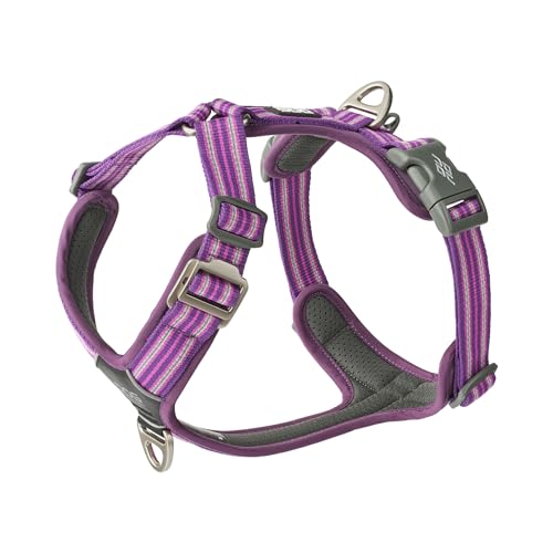 DOG Copenhagen Comfort Walk Air 3.0 Hundegeschirr - Geschirr für Hunde - Welpengeschirr, Purple Passion, XS DOG Copenhagen Comfort Walk Air 3.0 Hundegeschirr - Geschirr für Hunde - Welpengeschirr, Purple Passion, XS von DOG Copenhagen