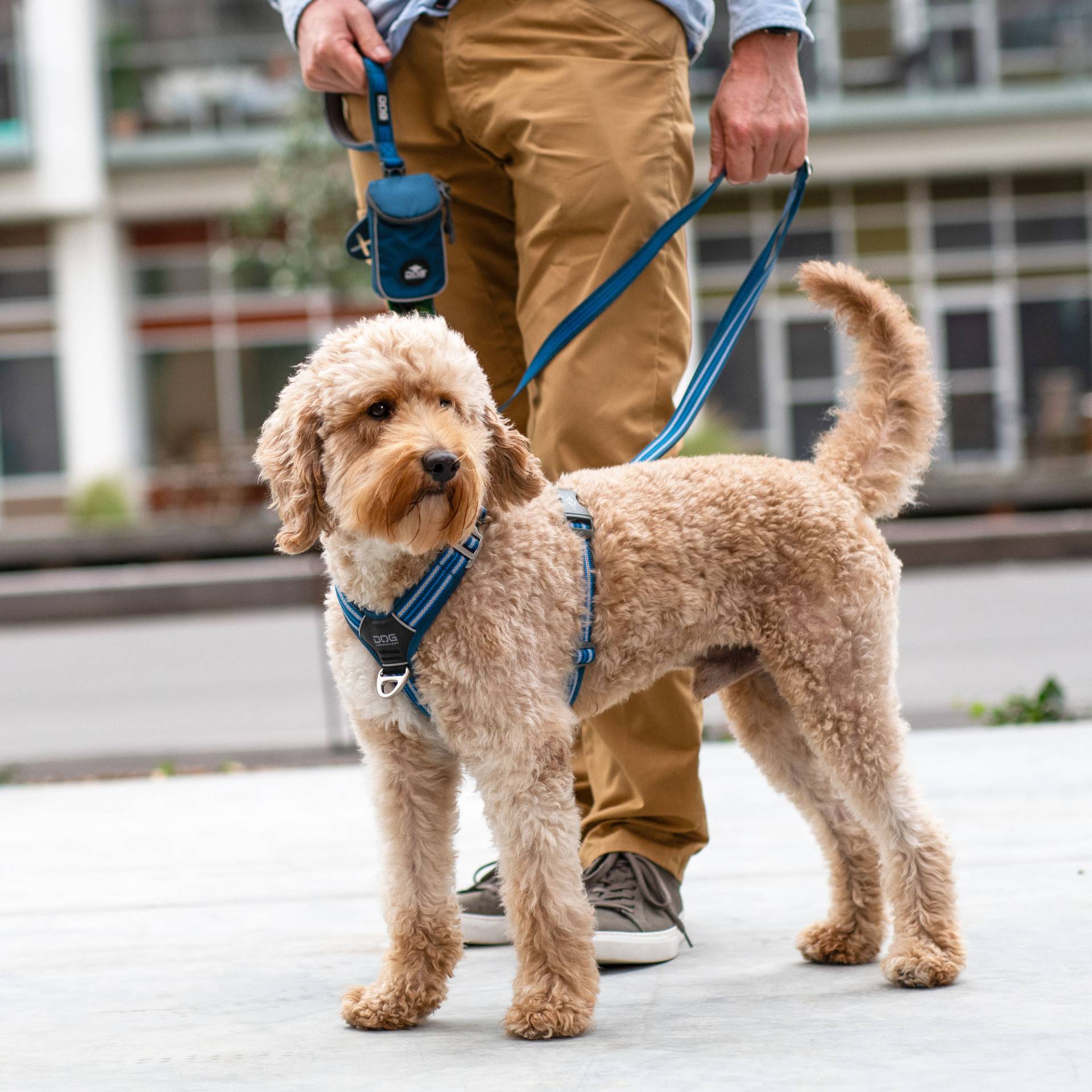 DOG Copenhagen Comfort Walk Air Geschirr Orange Sun M von DOG Copenhagen