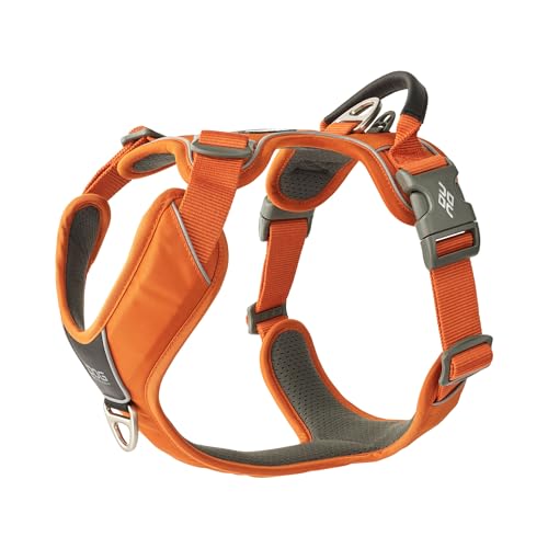 DOG Copenhagen Comfort Walk Pro Hundegeschirr, Orange Sun, L DOG Copenhagen Comfort Walk Pro Hundegeschirr, Orange Sun, L von DOG Copenhagen