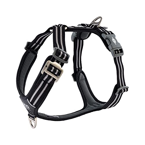 DOG Copenhagen Hundegeschirr - Comfort Walk Air Version 2 - Brustgeschirre für Hunde, Black, L DOG Copenhagen Hundegeschirr - Comfort Walk Air Version 2 - Brustgeschirre für Hunde, Black, L von DOG Copenhagen