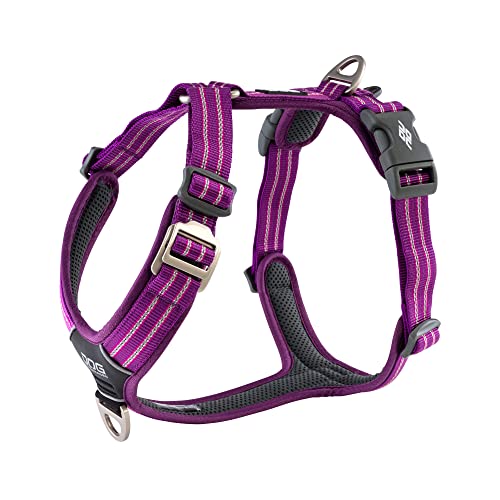 DOG Copenhagen Hundegeschirr - Comfort Walk Air Version 2 - Brustgeschirre für Hunde, Purple Passion, L DOG Copenhagen Hundegeschirr - Comfort Walk Air Version 2 - Brustgeschirre für Hunde, Purple Passion, L von DOG Copenhagen