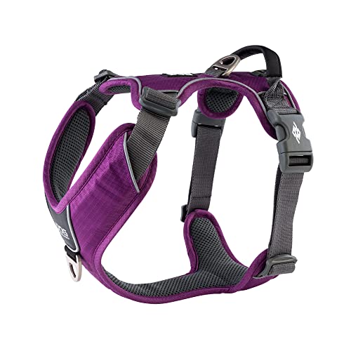 DOG Copenhagen Hundegeschirr V2 Comfort Walk (Pro) Purple Passion Größe XS von DOG Copenhagen