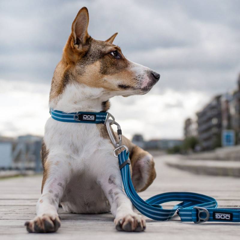 DOG Copenhagen Urban Freestyle™ Leine Ocean Blue S von DOG Copenhagen