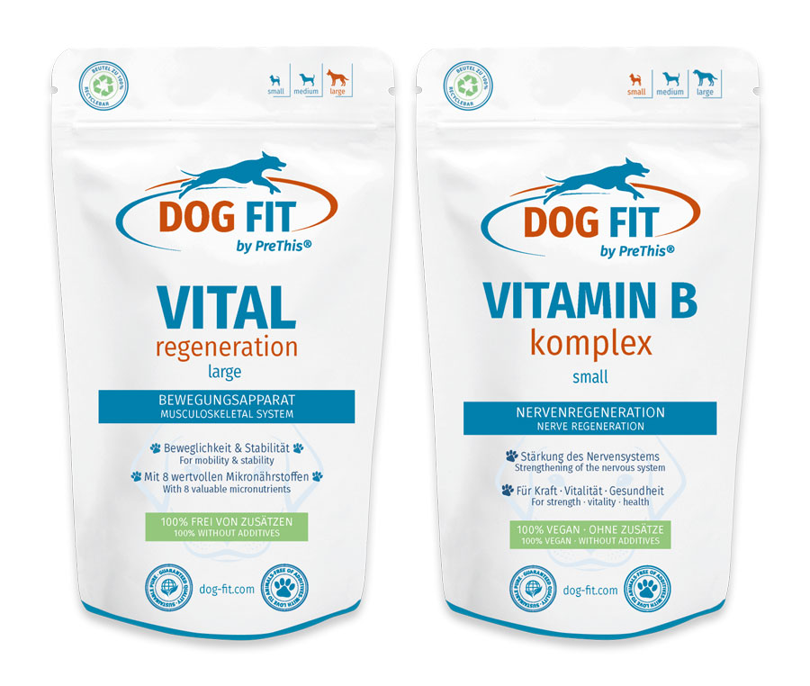WirbelsÃ¤ule & Nerven Set fÃ¼r groÃe Hunde ab 25kg | VITAL regeneration & VITAMIN B mit Biotin | DOG FIT by PreThis | 120 Kps. von DOG FIT by PreThis