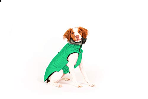 Dog Gone Smart Hemlock Puffy Dog Jacket, Sea Green, 20" von Dog Gone Smart