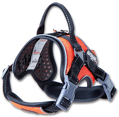 Pet Life Dog Helios ® Sportliches Hochleistungs-Hundegeschirr 'Scorpion' von Pet Life