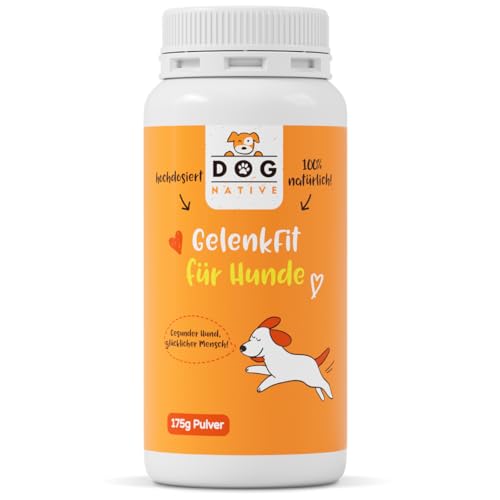 DOG NATIVE GelenkFit für Hunde, hochdosiertes Gelenkpulver mit Grünlippmuschel, MSM, Chondroitin & Kollagen, natürliches Pulver für Gelenke, 175g DOG NATIVE GelenkFit für Hunde, hochdosiertes Gelenkpulver mit Grünlippmuschel, MSM, Chondroitin & Kollagen, natürliches Pulver für Gelenke, 175g von DOG NATIVE