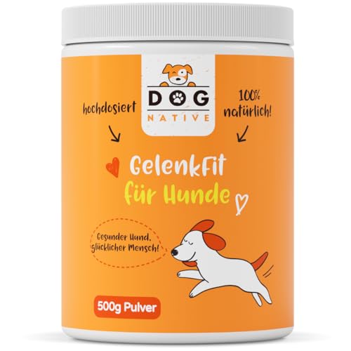 DOG NATIVE GelenkFit für Hunde, hochdosiertes Gelenkpulver mit Grünlippmuschel, MSM, Chondroitin & Kollagen, natürliches Pulver für Gelenke, 500g DOG NATIVE GelenkFit für Hunde, hochdosiertes Gelenkpulver mit Grünlippmuschel, MSM, Chondroitin & Kollagen, natürliches Pulver für Gelenke, 500g von DOG NATIVE