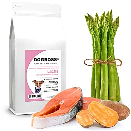 DOGBOSS Trockenfutter für kleine Rassen (bis 10 kg) | getreidefreie Rezeptur | Verschiedene Sorten (Lachs & Forelle, 2 kg) von DOGBOSS